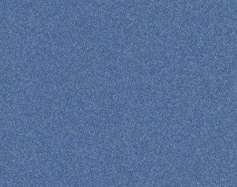 [200111114_24] Mipolam Elegance - 0349 Bluecrop